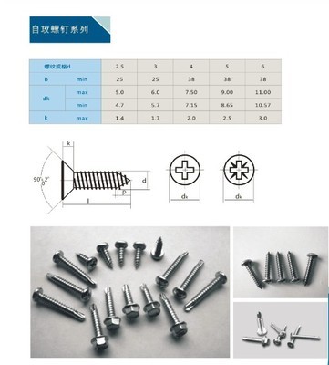 鉆尾自攻螺釘 山東廠家的生產(chǎn)優(yōu)勢(shì)與市場行情解析