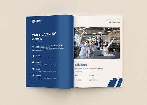 專業(yè)財務公司畫冊與代理做賬宣傳冊設計 視覺溝通的藝術