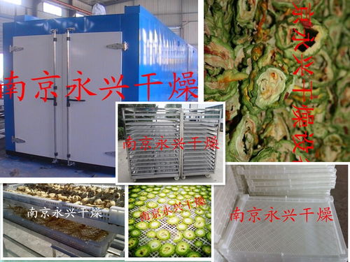 專業(yè)設(shè)計(jì)服務(wù) 從構(gòu)想到實(shí)現(xiàn)的卓越旅程